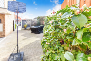 Photo 24- click for photo gallery